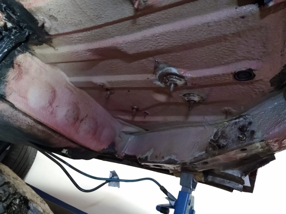 WhatsApp Image 2024-01-31 at 12.48.27 PM(3).jpeg