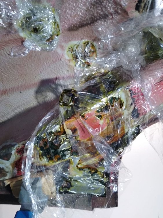 WhatsApp Image 2024-01-31 at 12.48.27 PM(1).jpeg