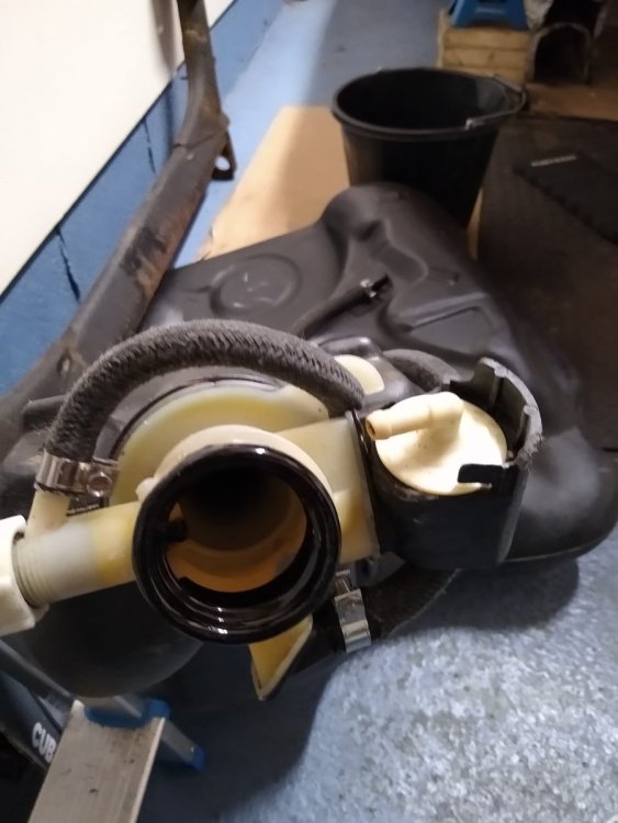 WhatsApp Image 2024-02-12 at 9.46.55 PM.jpeg