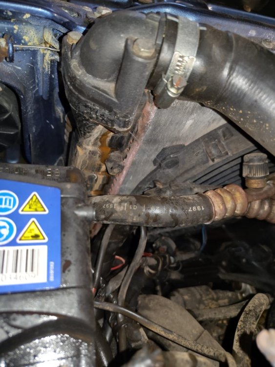 WhatsApp Image 2025-02-11 at 16.51.24.jpeg