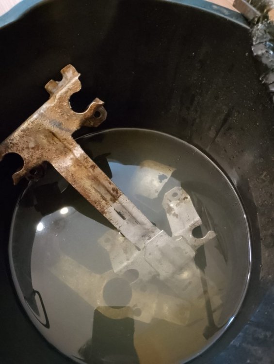 WhatsApp Image 2025-01-23 at 10.10.07 PM.jpeg