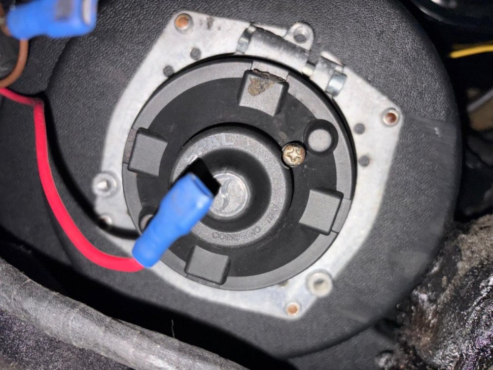 WhatsApp Image 2025-11-17 at 20.01.15.jpeg