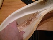 Exhibit B - These strengthening cords protect the foam from the seat frame. These are worn!